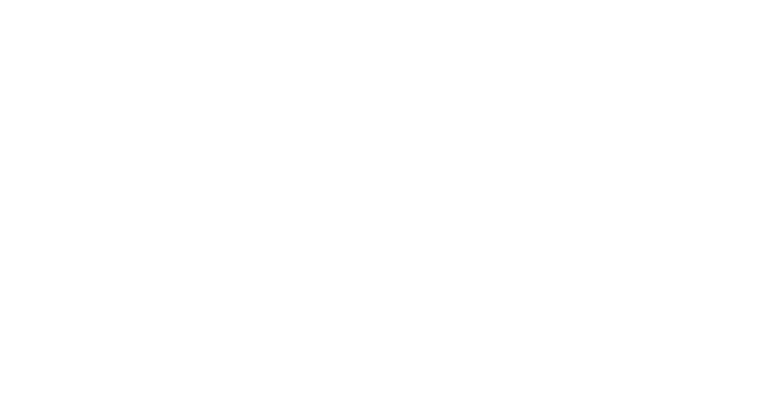 ICE Sicherheit & Service